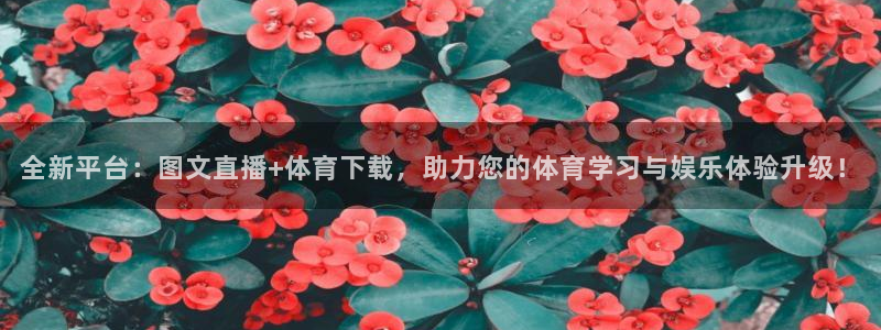 新闻图片