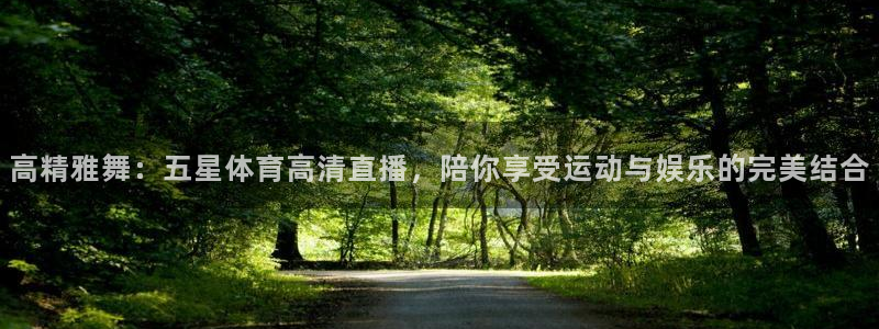 高精雅舞：五星体育高清直播，陪你享受运动与娱乐的完美结合