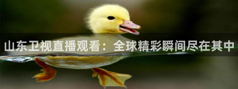 山东卫视直播观看：全球精彩瞬间尽在其中