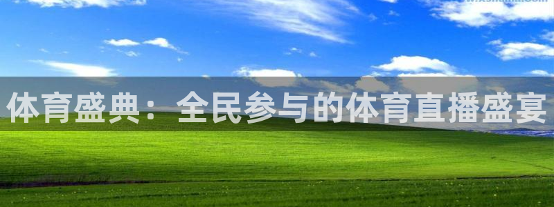 体育盛典：全民参与的体育直播盛宴